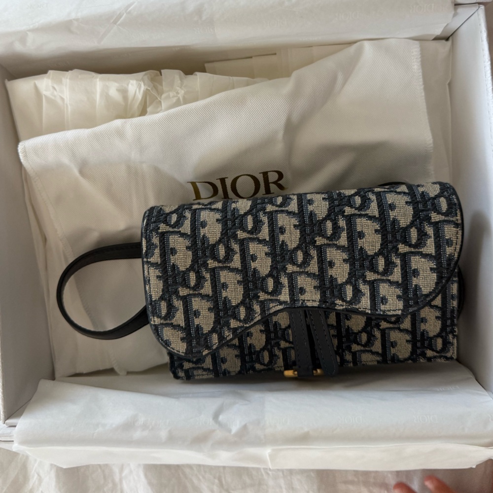 Dior Saddle Belt Bag